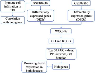 Gene Expression Signature of Traumatic Brain Injury